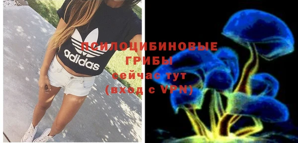 ешки Няндома